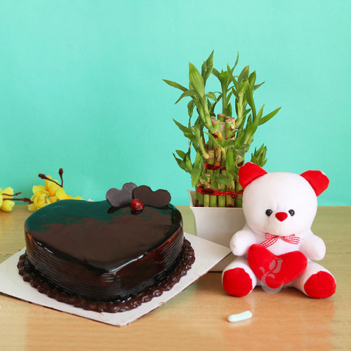 Heart shaped chocolate cake+6 inches teddy +1 lucky bamboo