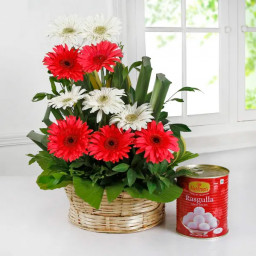 6 red and 3 white gerberas in abasket with 1kg rasgulla