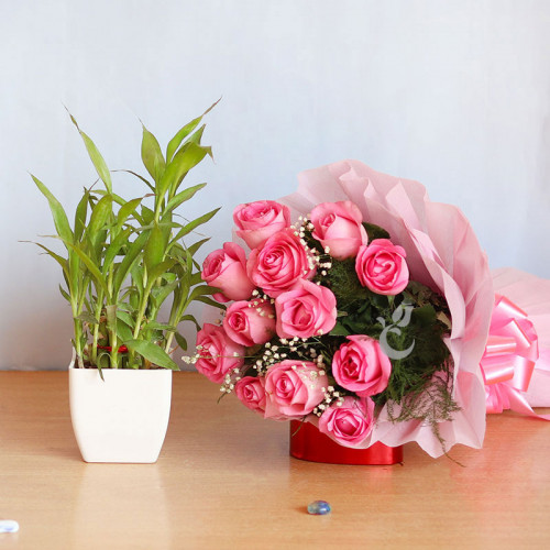 Combo of 12 Pink roses with 2 Layer Lucky Bamboo Plant