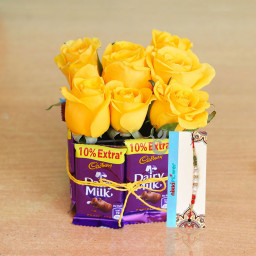 9 Yellow Roses + 8 Dairy Milk + 1 Rakhi