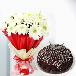 White Gerbera Chocolates Combo: A Gift Combo of 10 White Gerbera and 0.5 Kg Chocolate Cake White Gerbera Chocolates Combo: A Gift Combo of 10 White Gerbera and 0.5 Kg Chocolate Cake