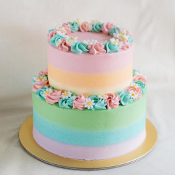 2 tier Designer Cake