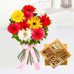 12 Mix Gerbera With Pink Ribbon & 500 gm Mix Dry Fruit Box