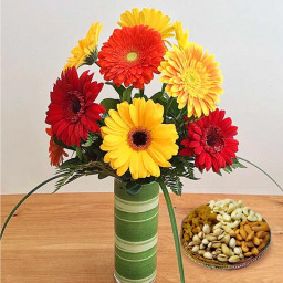 10 Mix gerberas &  500 gm Mix Dry Fruit