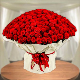 500 Red Roses in White Paper Packing 