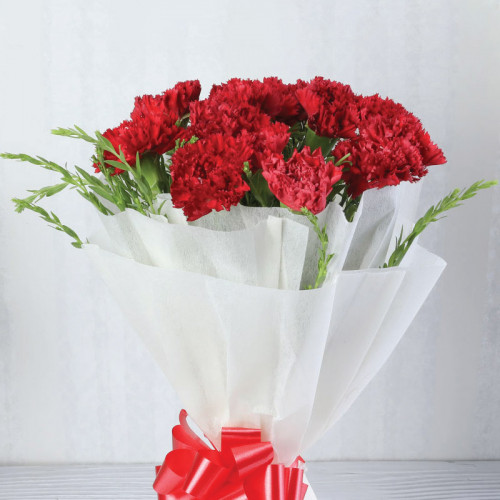 10 Red Carnations - Front View