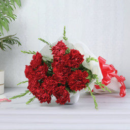 10 Red Carnations - Side View