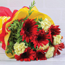 6 Red Gerberas 6 Yellow Carnation - Zoom View