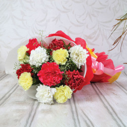 12 Mix Color Carnations - Front View