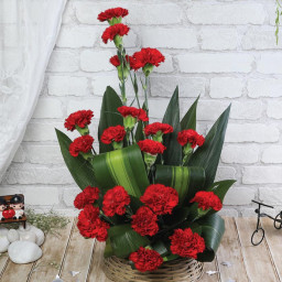 20 Red Carnation Basket - Front View
