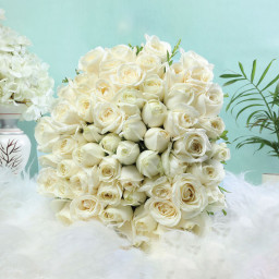 50 White Roses - Front View