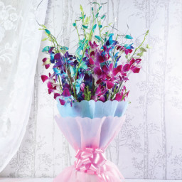 10 Blue & Purple Orchids - Front View