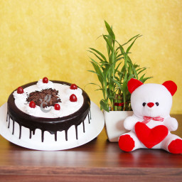 Combo Gift of  Teddy with Half  Kg Black Forest Cake and Bamboo Plant