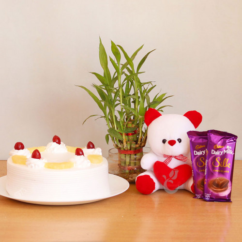 Combo Gift of 2 Dairy Milk Silk + Half  Kg Pineapple Cake + Bamboo + Teddy