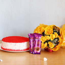 Combo Hamper of 12 Yellow rose + Half kg Red Valvet Cake+2 Dairy Milk Silk