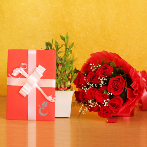 Combo 12 Red Roses+2 Layer Lucky Bamboo+1 Greeting Card