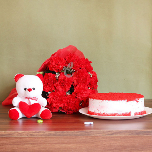 Combo of 12 Carnations with 6 Inch Teddy and Half Kg Red Velvet Cake