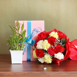 Combo of 12 Mix Carnations with Lucky Bamboo Plant and 1 Greeting Card