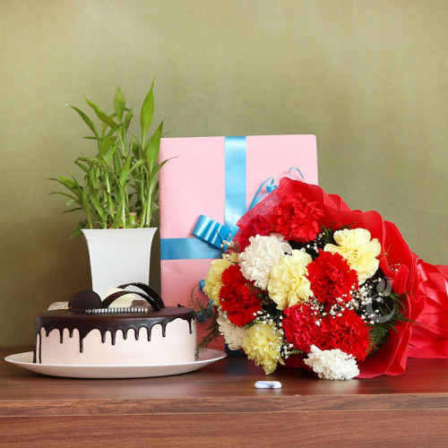 Gift Hamper of 12 Mix Carnation Bouquet + Bamboo + Greeting Card + Half kg Chocolate Cake