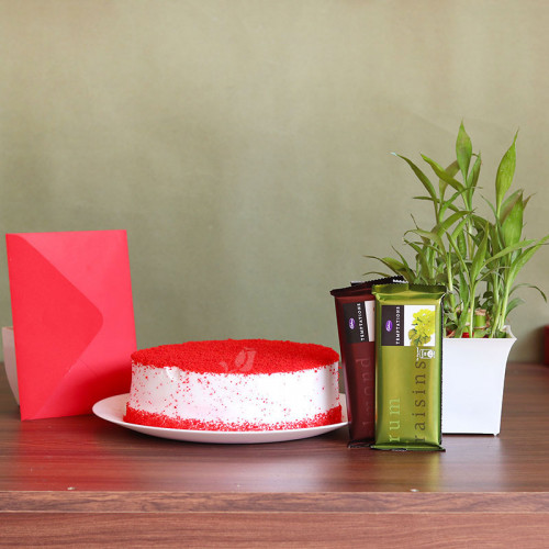 Gift Combo of Half Kg Red Velvet Cake with 2 Temptation Chocolates, 1 Greeting Card and 1 Lucky Bambo Plant