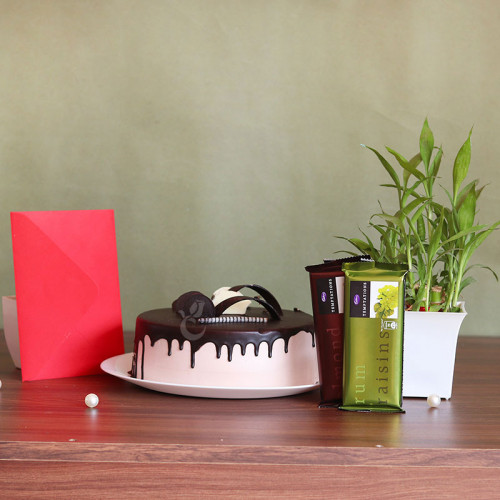 Half kg Chocolate cake +greeting card+2 temptation and lucky bamboo